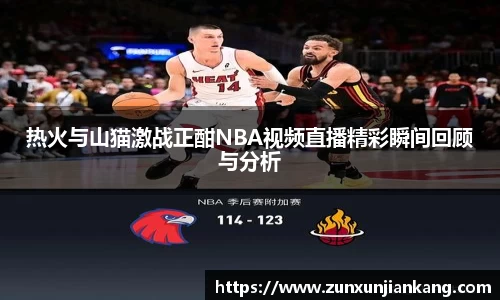 热火与山猫激战正酣NBA视频直播精彩瞬间回顾与分析